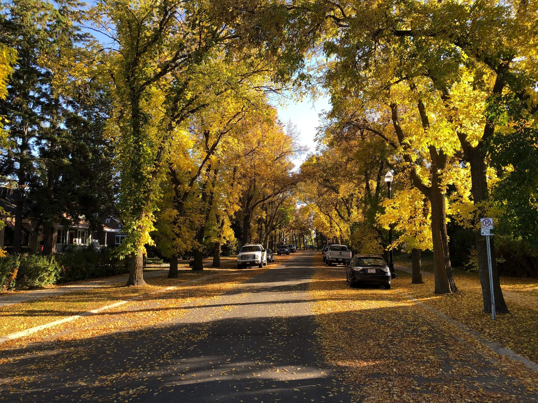 Hi ! Welcome to Strathcona Community League.